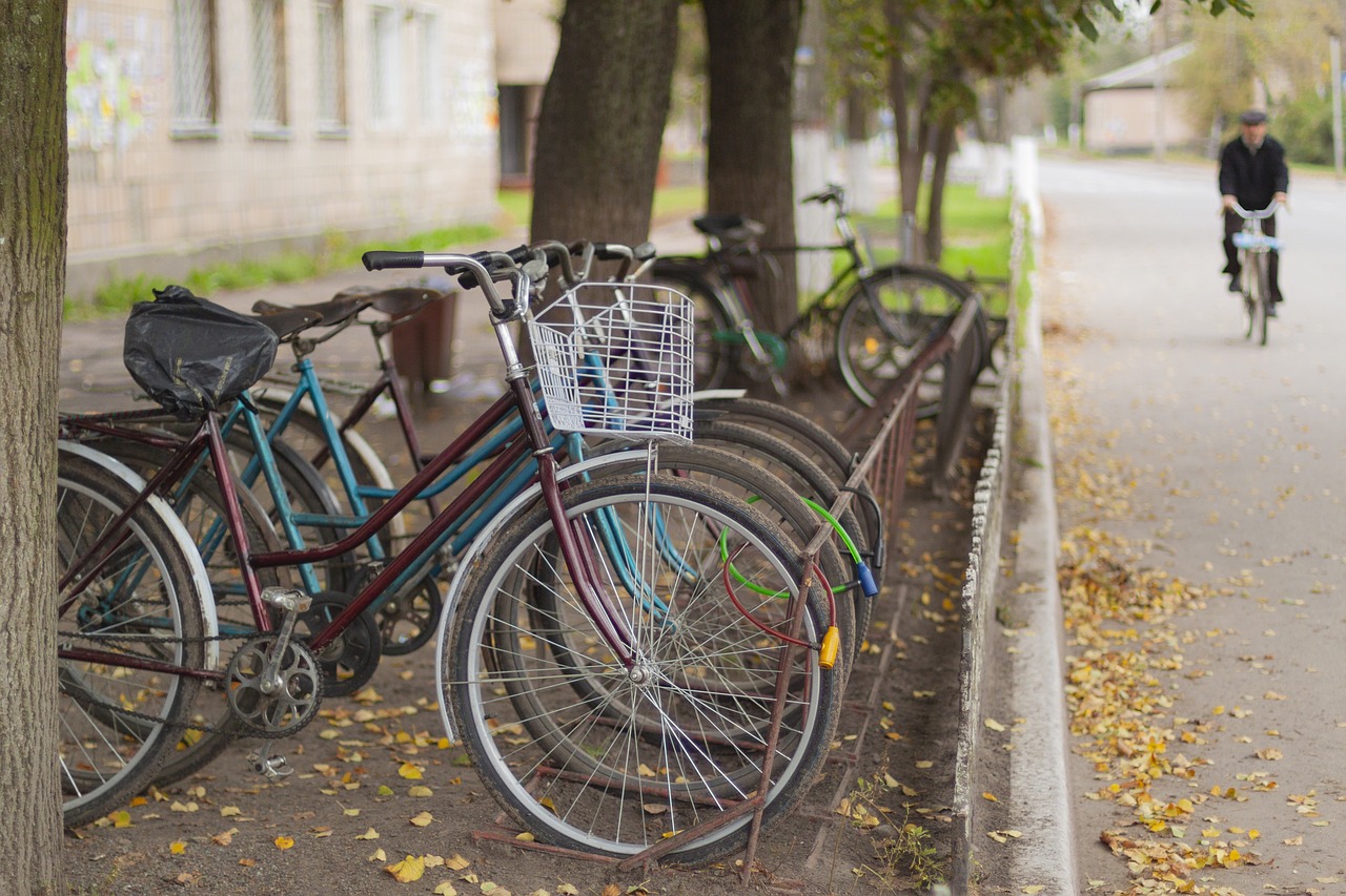 The Future of Eco-Friendly Transportation and Logistics